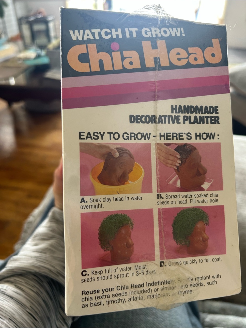 Professor Chia Head Handmade Decorative Planter - Terra Cotta with Green Chia - Picture 2 of 2